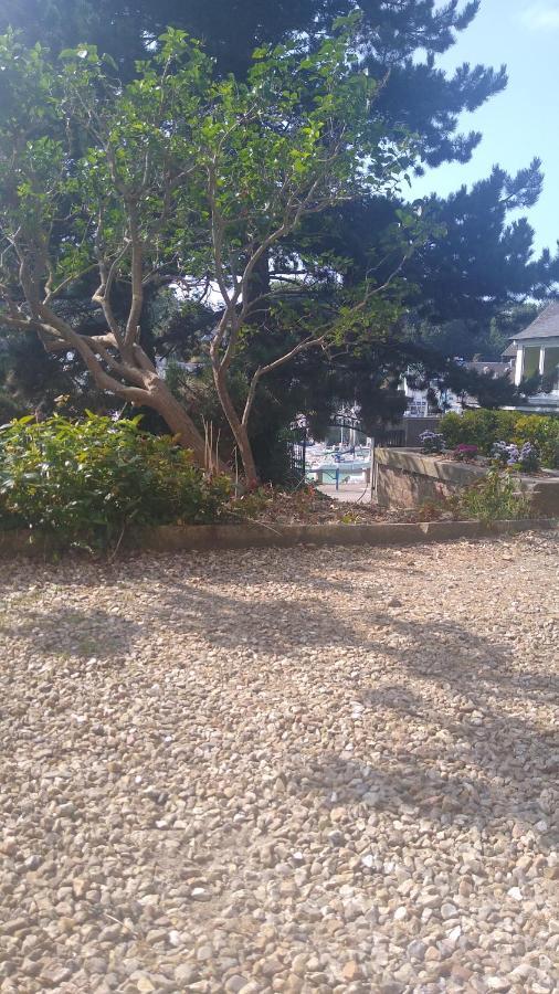Appartement Sur Le Port, 105M Rez De Jardin Avec Parc Privatif Saint-Valery-en-Caux Εξωτερικό φωτογραφία
